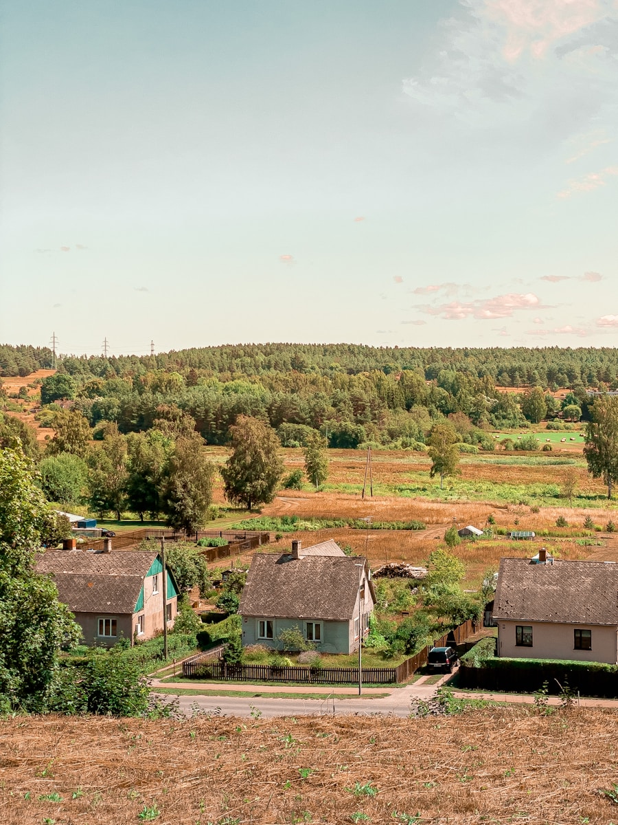 a view of a small village in the middle of a field