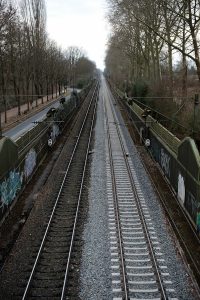 Railroad tracks extend into the distance between trees.